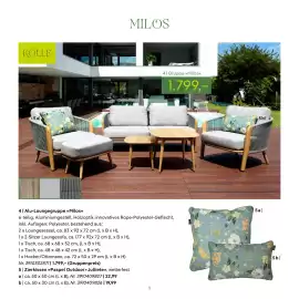 Pflanzen Kölle Prospekt Seite 9