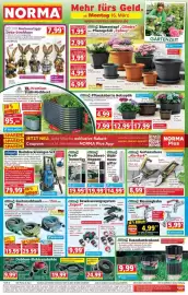 Norma Prospekt woche 12 Seite 1