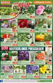 Norma Prospekt woche 12 Seite 16