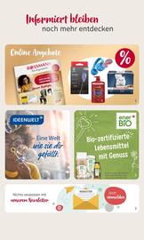 Rossmann Prospekt Seite 22