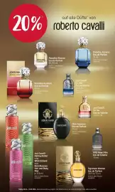 Rossmann Prospekt Seite 6