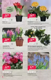 Kiebitzmarkt Prospekt woche 10 Seite 10