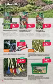 Kiebitzmarkt Prospekt woche 10 Seite 2