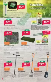 Kiebitzmarkt Prospekt woche 10 Seite 4