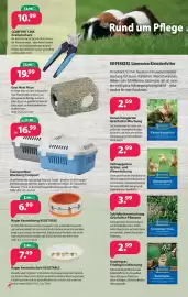 Kiebitzmarkt Prospekt woche 10 Seite 6