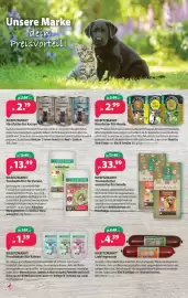 Kiebitzmarkt Prospekt woche 10 Seite 8