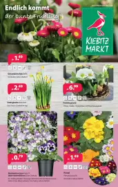 Kiebitzmarkt Prospekt woche 10 Seite 9