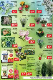 Zimmermann Prospekt woche 11 Seite 16