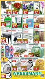 Wreesmann Prospekt Seite 12