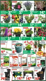 Wreesmann Prospekt Seite 3