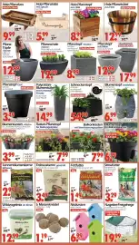 Wreesmann Prospekt Seite 6