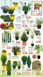 Jawoll Prospekt woche 11 Seite 4