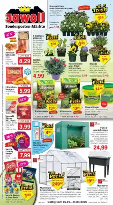 Jawoll Prospekt (gültig bis 14-03)