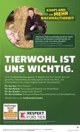 Kaufland Prospekt woche 11 Seite 65