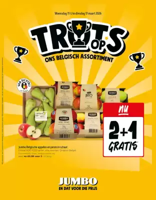 Jumbo folder (geldig t/m 17-03)