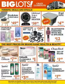 Big Lots weekly ad week 10 Page 2