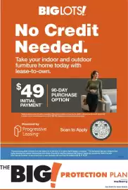 Big Lots weekly ad week 10 Page 3