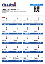 Catálogo Masivos semana 10 Página 46