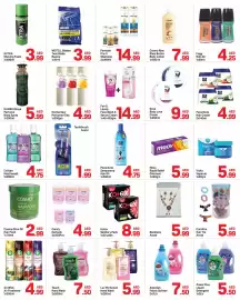 Day To Day catalogue week 11 Page 4