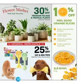 Freson Bros flyer week 11 Page 7