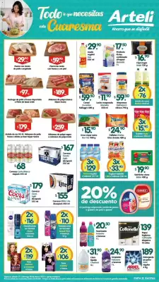 Folleto Arteli (válido hasta 8-03)