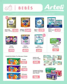 Folleto Arteli Página 13