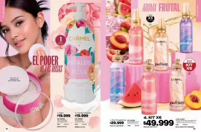 Catálogo Loguin Página 68