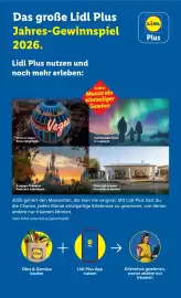 Lidl Flugblatt woche 11 Seite 9