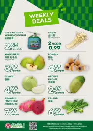 Amazing Oriëntal folder week 11 Pagina 1