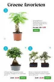 Intratuin folder week 11 Pagina 2