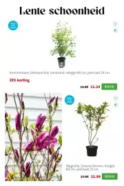 Intratuin folder week 11 Pagina 4