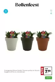 Intratuin folder week 11 Pagina 5