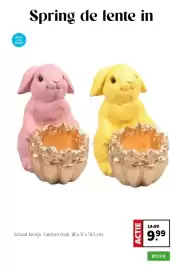 Intratuin folder week 11 Pagina 6