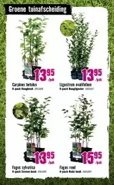 Hornbach folder Pagina 37