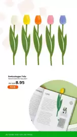 The Read Shop folder Pagina 29