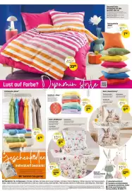 Reiter Flugblatt Seite 6