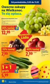 Lidl gazetka Strona 26