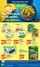Lidl gazetka Strona 42