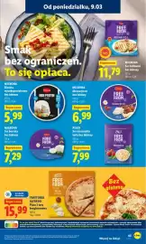 Lidl gazetka Strona 43