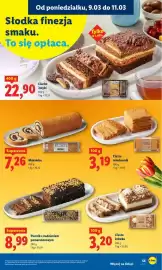 Lidl gazetka Strona 55