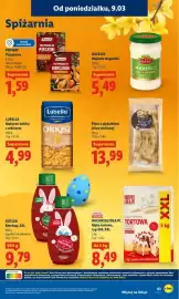 Lidl gazetka Strona 61