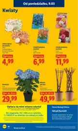 Lidl gazetka Strona 68
