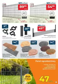 Mrówka gazetka Strona 5