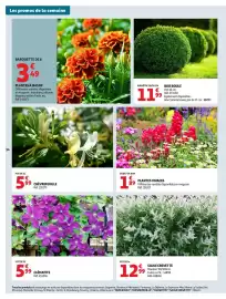 Auchan folder Pagina 34