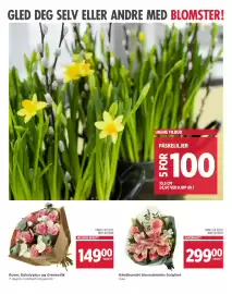 Meny kundeavis uke 11 Side 10