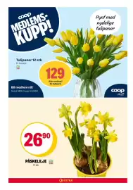 Coop Extra kundeavis uke 11 Side 24