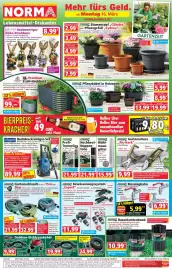 Norma Prospekt woche 12 Seite 1