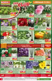 Norma Prospekt woche 12 Seite 16