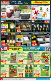 Norma Prospekt woche 12 Seite 6