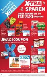 Kaufland DE folder week 11 Pagina 24